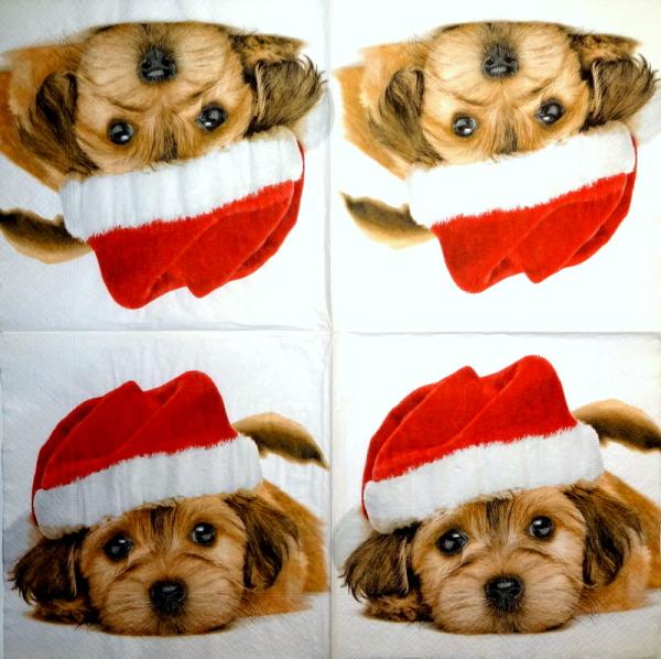 HUN-216 Dogs - 3-ply